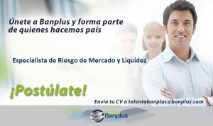 Especialista de Riesgo de Mercado y Liquidez Blog 300x178 - Vacantes de empleo en Banplus, enero 2019