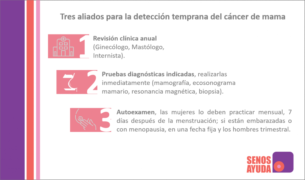 Aliados deteccion cancer mama 1024x606 - Mes Rosa | Diagnóstico precoz: la herramienta más poderosa para luchar contra el cáncer de mama