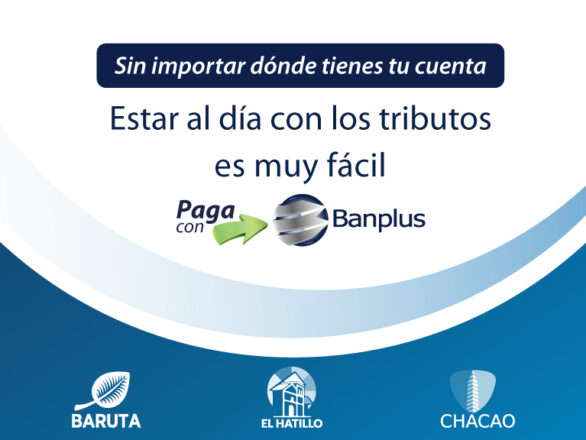 Blog Blanco Alcaldias 586x440 - Paga con Banplus: impuestos de las Alcaldías de Baruta, Chacao y El Hatillo