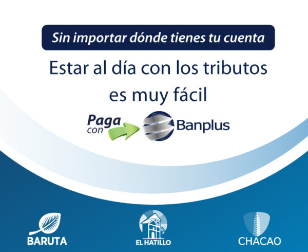 Blog Blanco Alcaldias 600x490 - Paga con Banplus: impuestos de las Alcaldías de Baruta, Chacao y El Hatillo